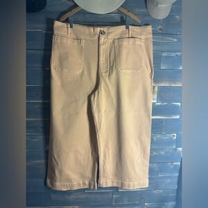 NWOT Pilcro Orange Sherbert Color Wide-Leg Cropped Panta 24W